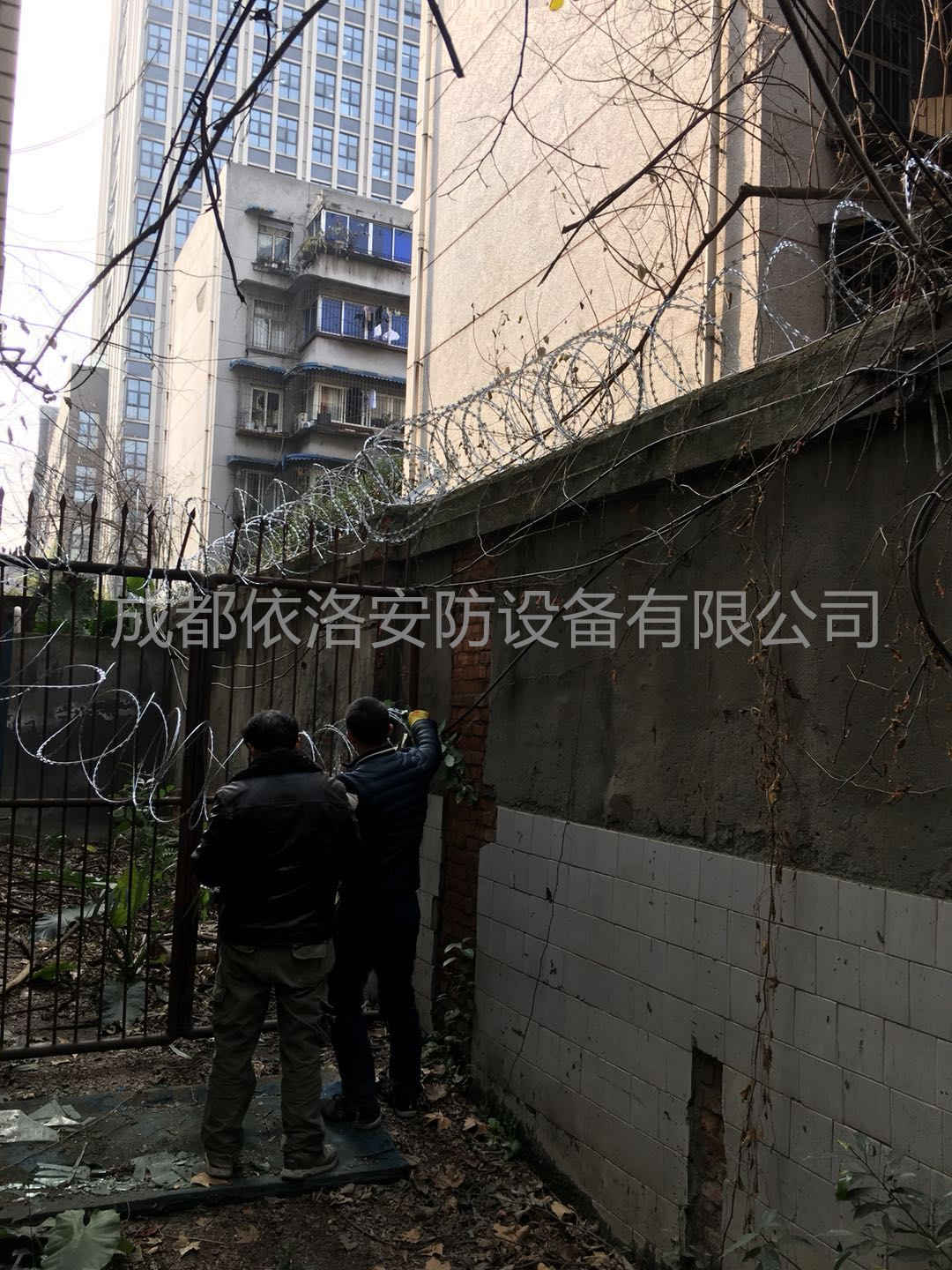 &#20048;&#21160;&#32593;&#39029;&#29256;&#30331;&#24405;&#20837;&#21475;&#45;&#20048;&#21160;&#40;&#20013;&#22269;&#41;